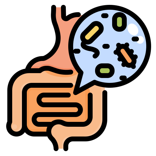 Digestive System